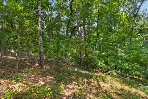 Vacant Land For Sale - 206 Shipmaster Drive<br/> Oconee County, Salem, SC 29676
