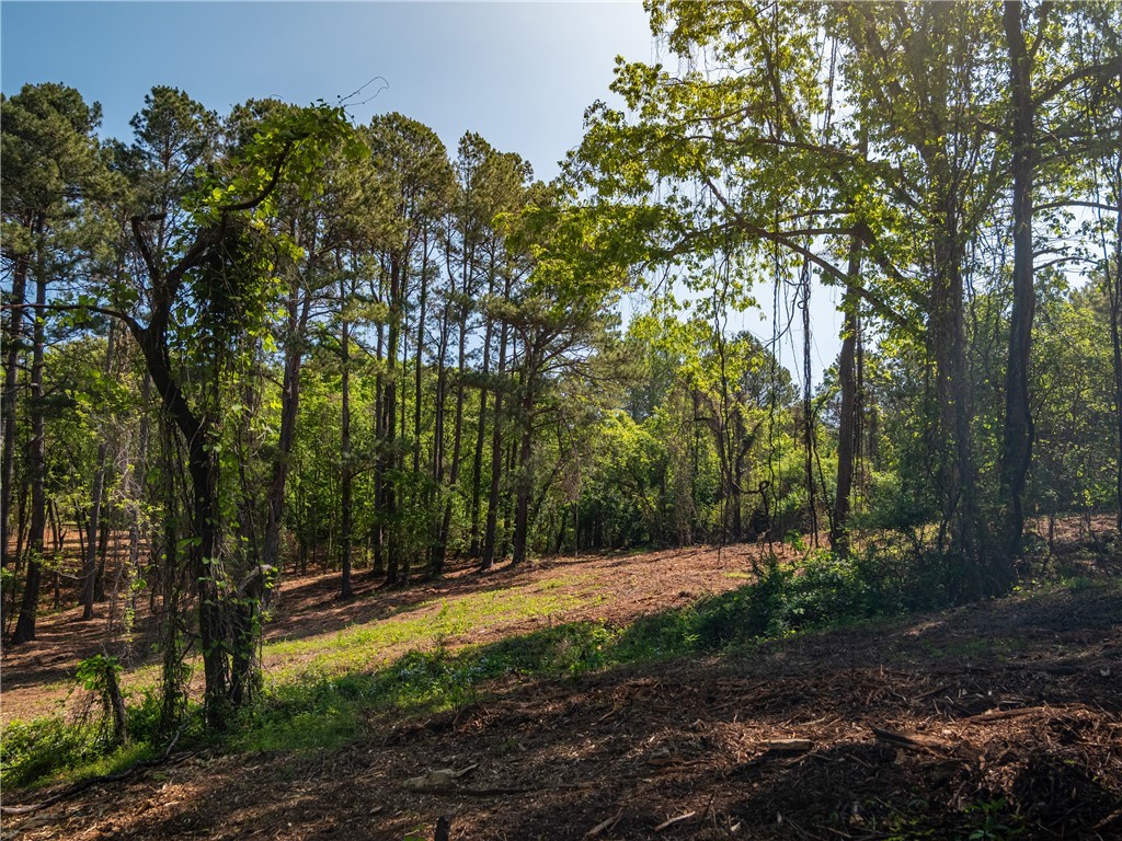 09 Moorefield Memorial Highway, Liberty, South Carolina image 33