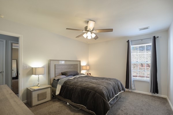 110 Tallahatchie Court, Liberty, South Carolina image 12