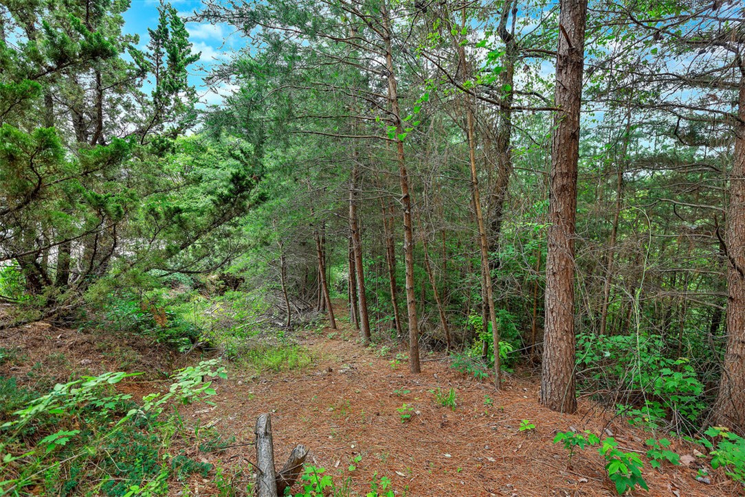 Lot N-25 Jocassee Ridge Way, Salem, South Carolina image 4
