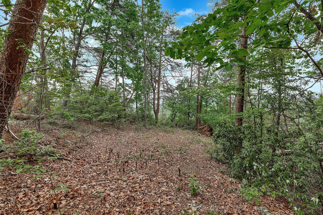 Lot N-25 Jocassee Ridge Way, Salem, South Carolina image 6