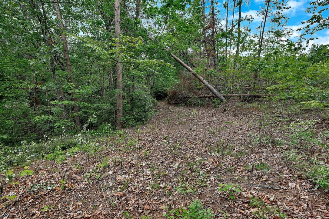Lot N-25 Jocassee Ridge Way, Salem, South Carolina image 8