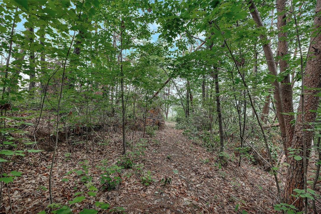 Lot N-25 Jocassee Ridge Way, Salem, South Carolina image 5