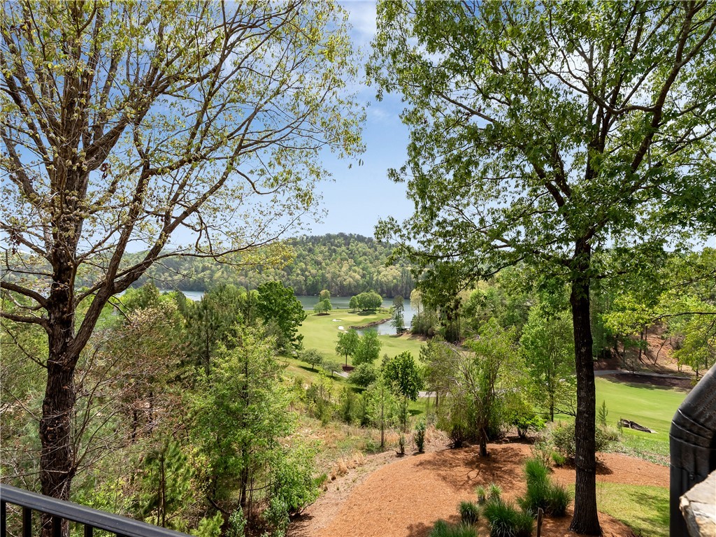 220 Long Cove Court, Sunset, South Carolina image 16