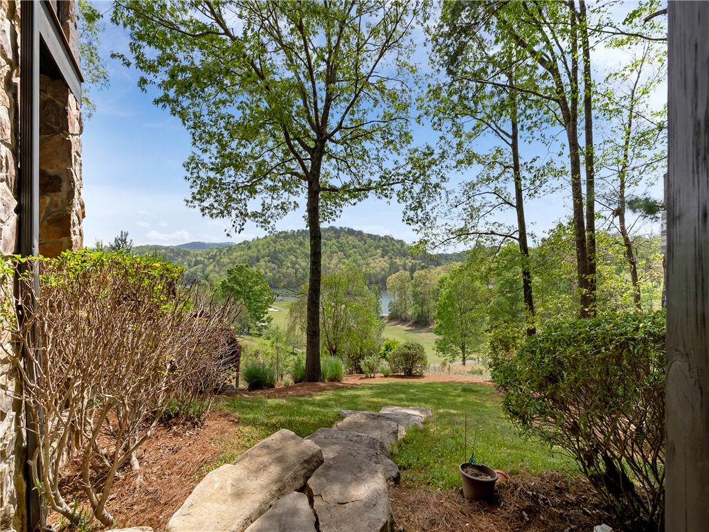 220 Long Cove Court, Sunset, South Carolina image 42