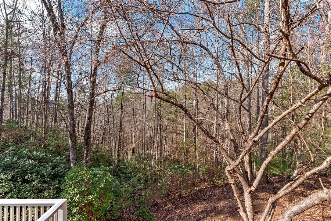 308 Ginseng Drive, Sunset, South Carolina image 33