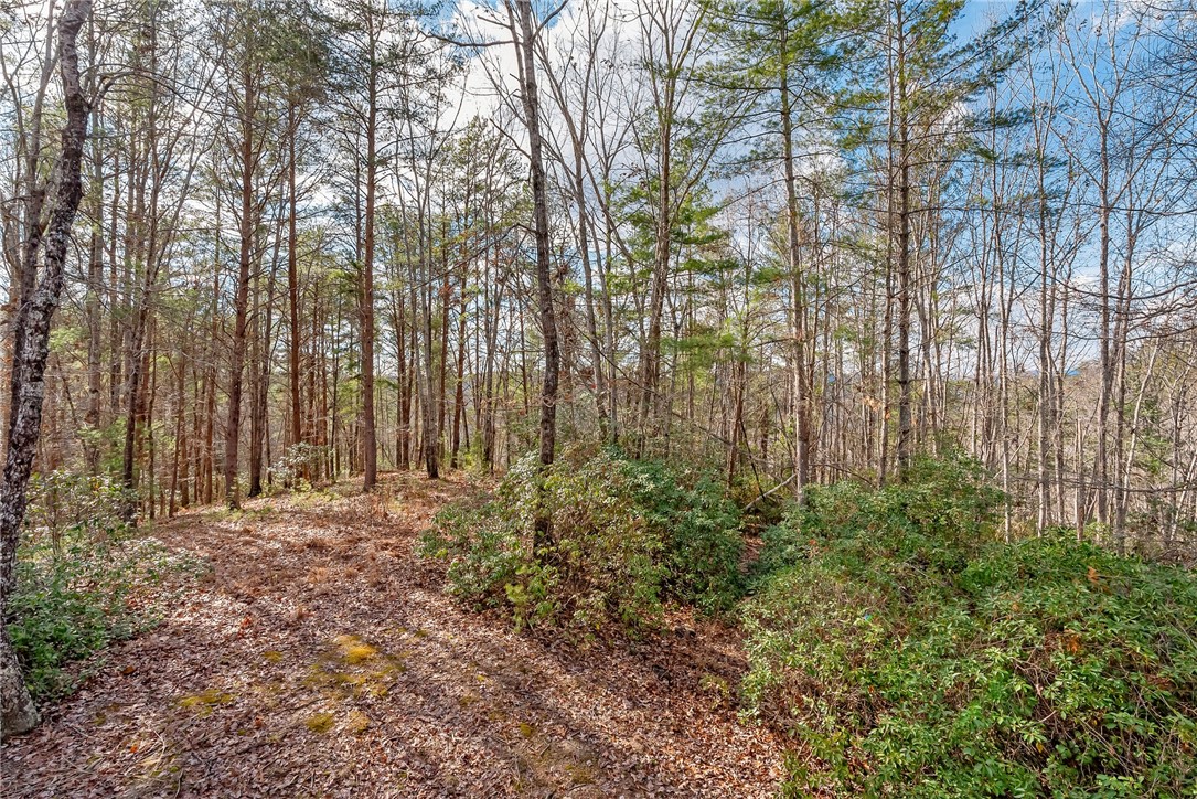 308 Ginseng Drive, Sunset, South Carolina image 37