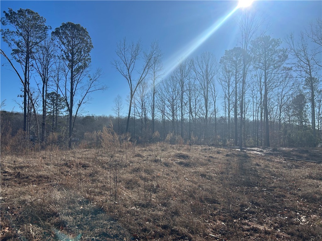 3 Lakewind Court, Iva, South Carolina image 6