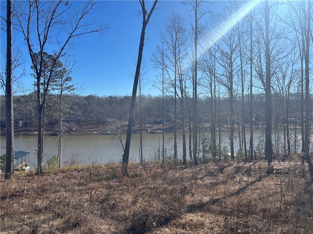 3 Lakewind Court, Iva, South Carolina image 1