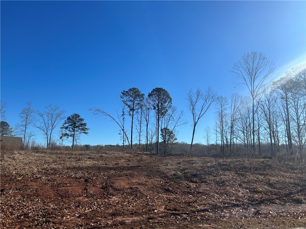 3 Lakewind Court, Iva, South Carolina image 3