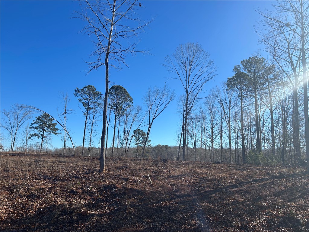 3 Lakewind Court, Iva, South Carolina image 4