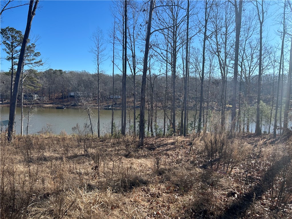3 Lakewind Court, Iva, South Carolina image 15