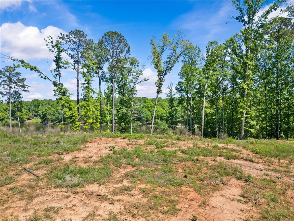 3 Lakewind Court, Iva, South Carolina image 9