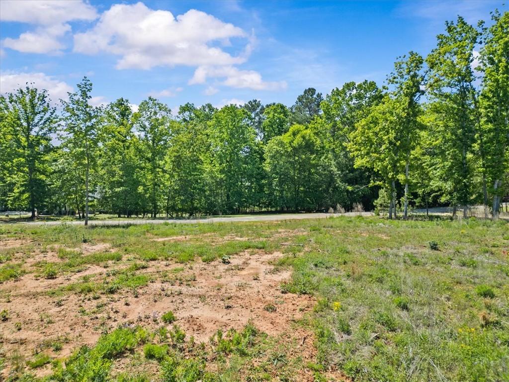 3 Lakewind Court, Iva, South Carolina image 8