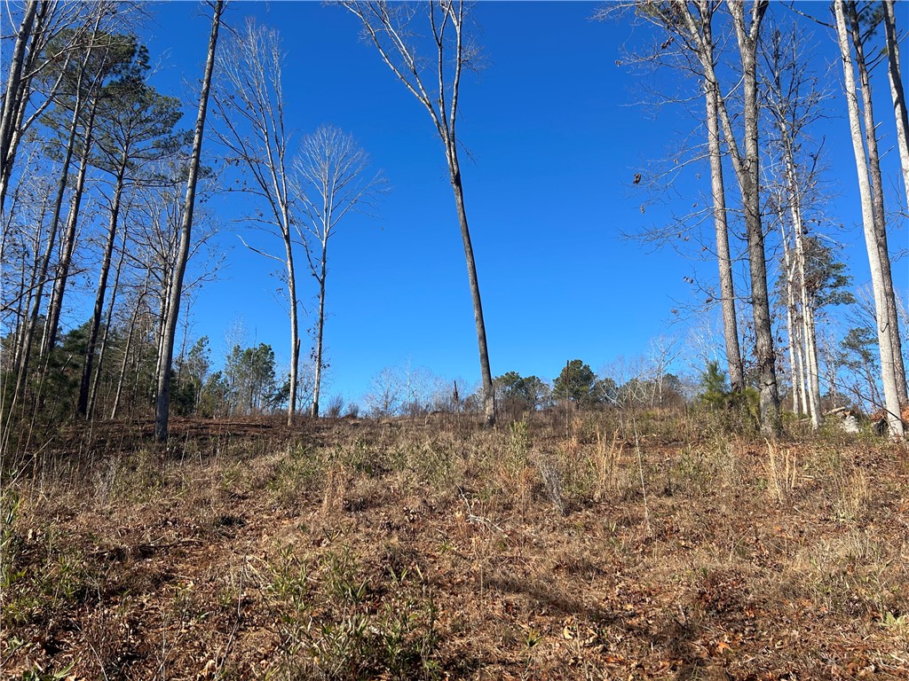 3 Lakewind Court, Iva, South Carolina image 11