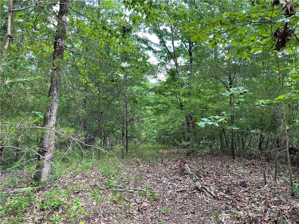 00 Anthony Road, Pickens, South Carolina image 2