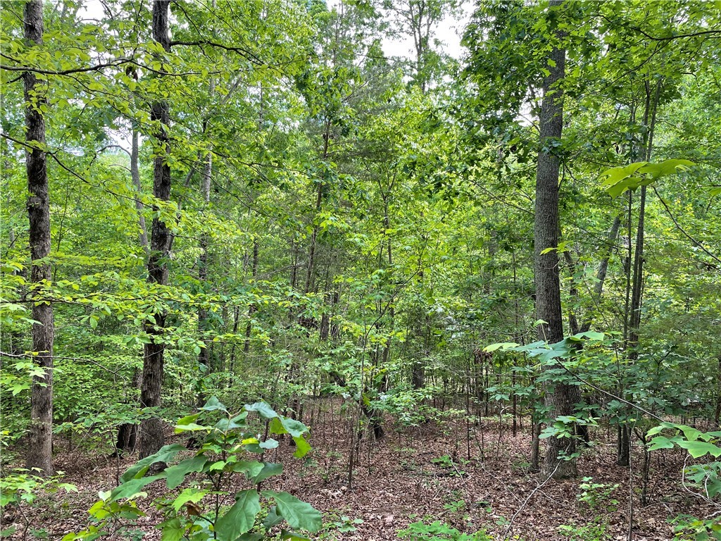 00 Anthony Road, Pickens, South Carolina image 5