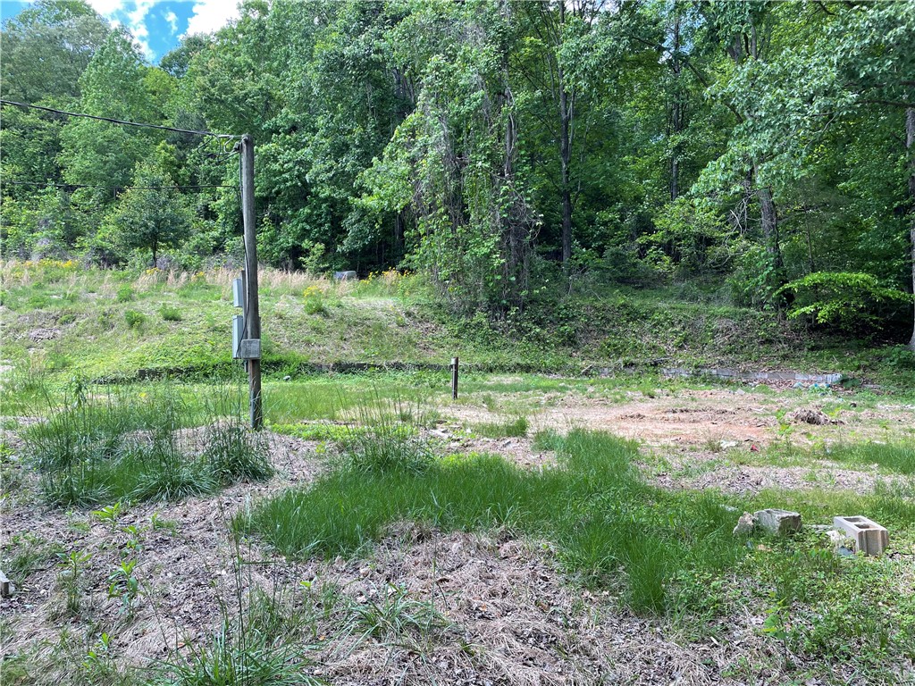 00 Anthony Road, Pickens, South Carolina image 3