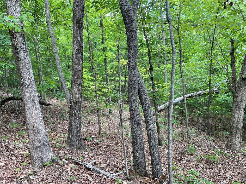00 Anthony Road, Pickens, South Carolina image 12