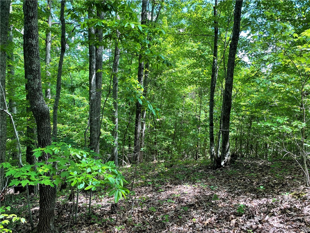 00 Anthony Road, Pickens, South Carolina image 4