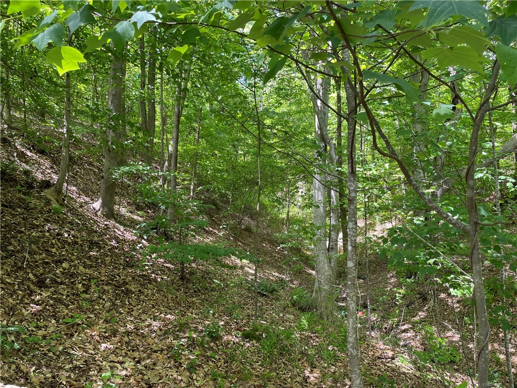 00 Anthony Road, Pickens, South Carolina image 13