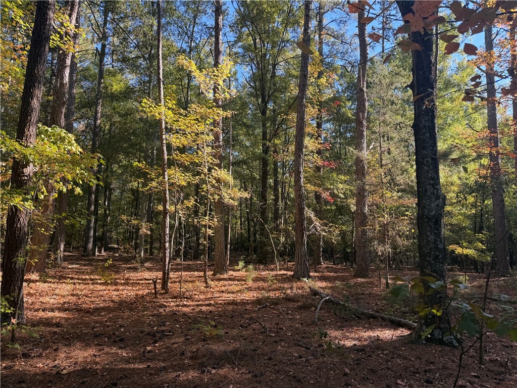Tract E-3 George Bryant Road