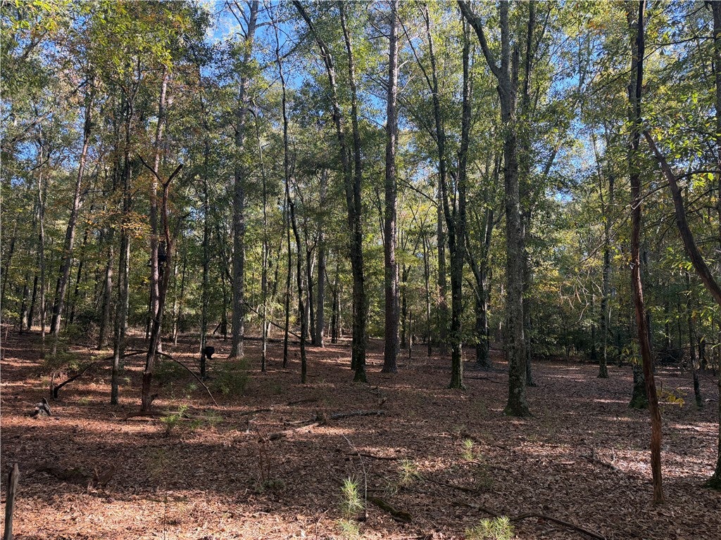Tract E-3 George Bryant Road