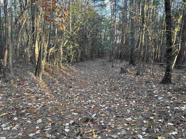 1940 Pleasant Hill Road #LOT 3-B, Greer, South Carolina image 17