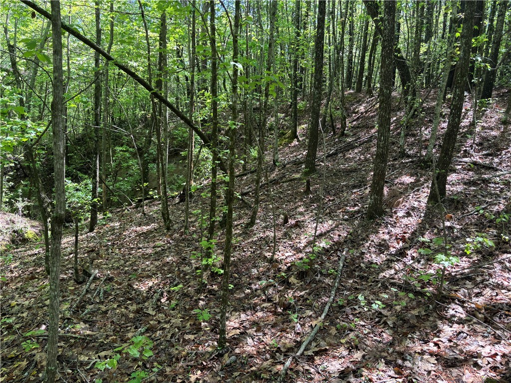 1940 Pleasant Hill Road #LOT 3-B, Greer, South Carolina image 14