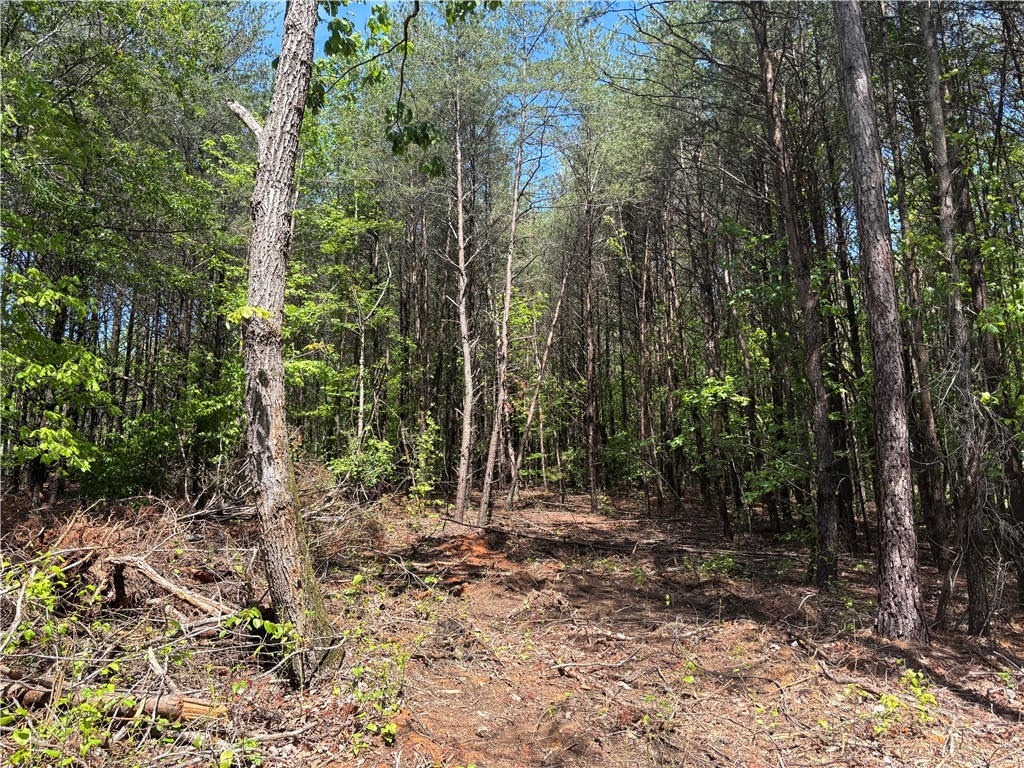 1940 Pleasant Hill Road #LOT 3-B, Greer, South Carolina image 6