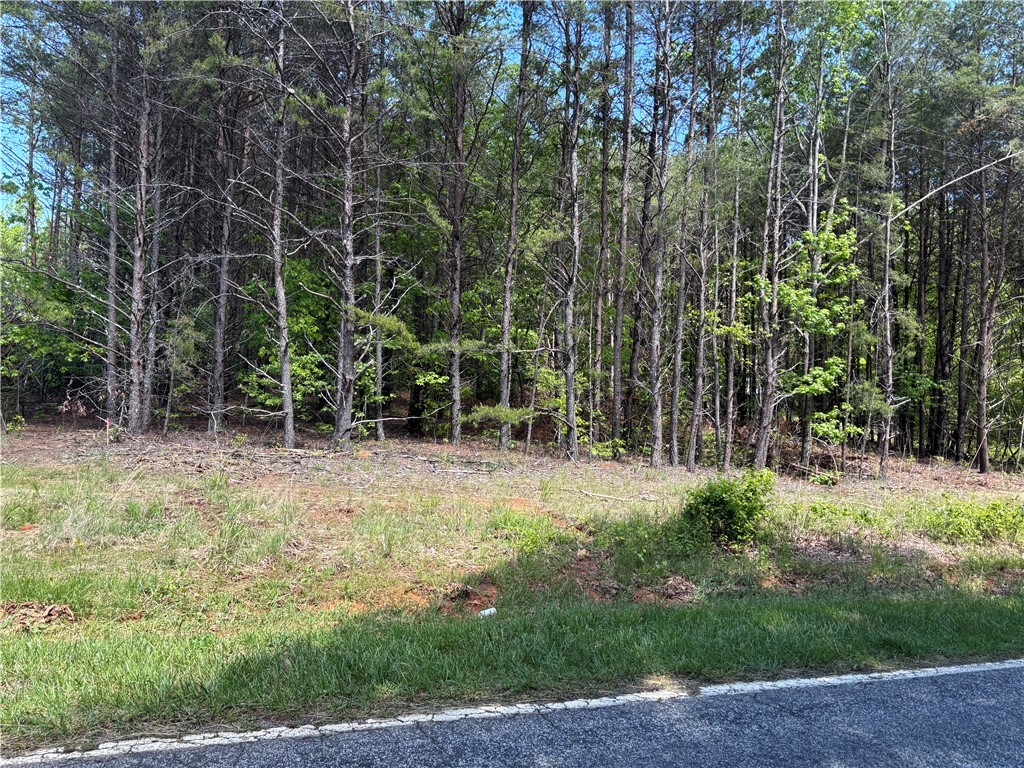 1940 Pleasant Hill Road #LOT 3-B, Greer, South Carolina image 3