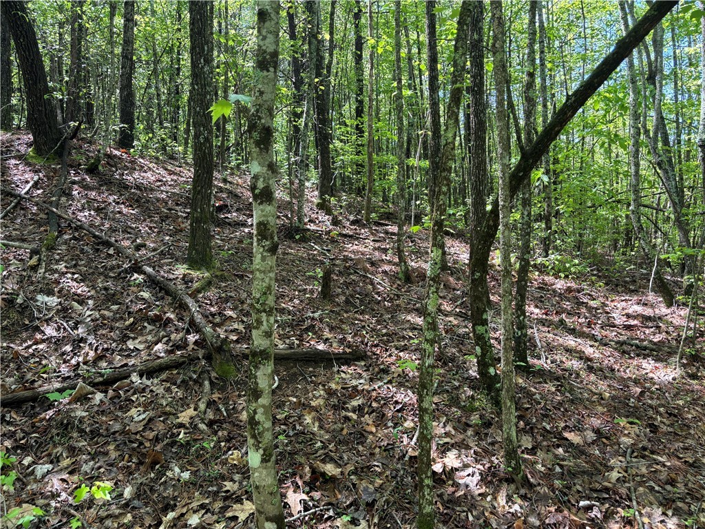 1940 Pleasant Hill Road #LOT 3-B, Greer, South Carolina image 16