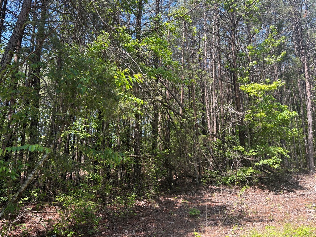 1940 Pleasant Hill Road #LOT 3-B, Greer, South Carolina image 7