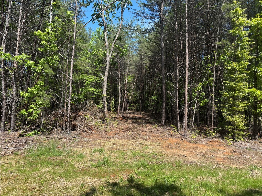 1940 Pleasant Hill Road #LOT 3-B, Greer, South Carolina image 1
