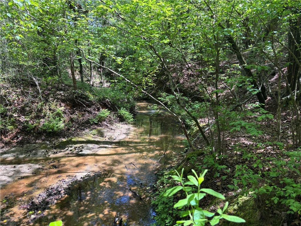 1940 Pleasant Hill Road #LOT 3-B, Greer, South Carolina image 8