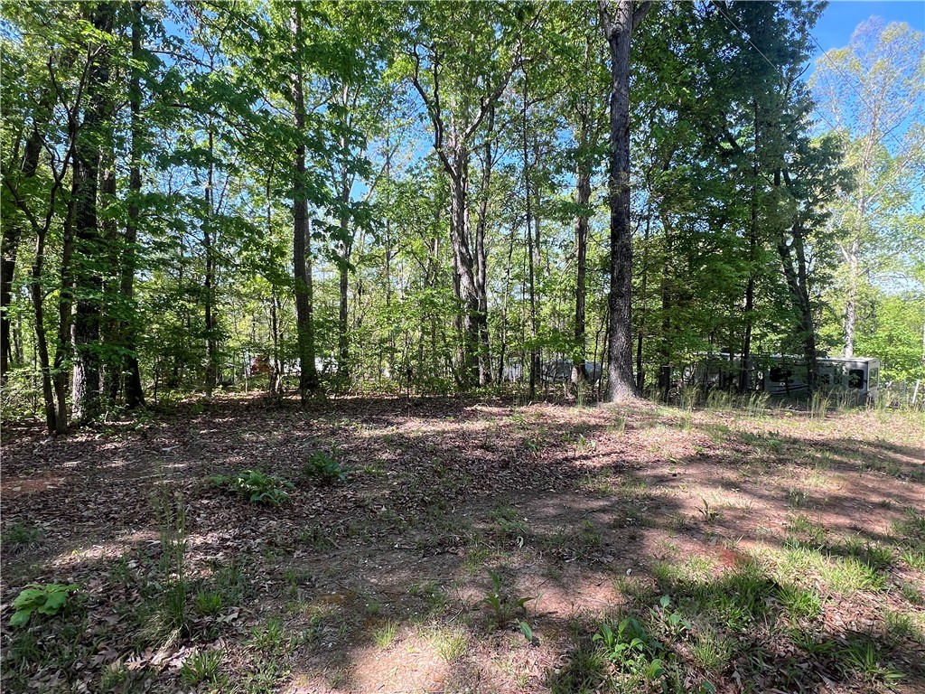 118 Brandy Hill Road, Fair Play, South Carolina image 3