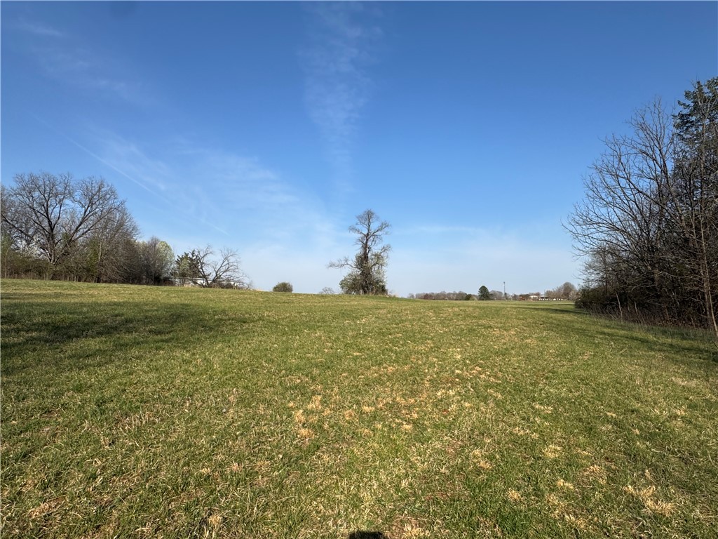 207 Roe Road, Greenville, South Carolina image 13