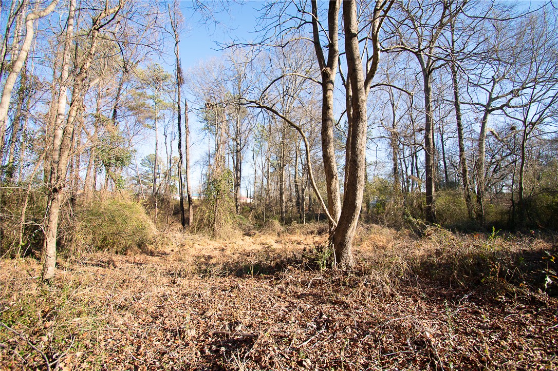 205 Hazelwood Avenue #LOT 10 BLOCK A, Anderson, South Carolina image 5