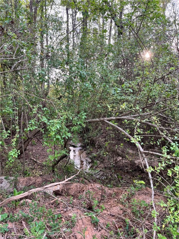205 Hazelwood Avenue #LOT 10 BLOCK A, Anderson, South Carolina image 3