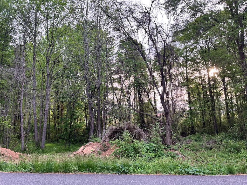 205 Hazelwood Avenue #LOT 10 BLOCK A, Anderson, South Carolina image 2