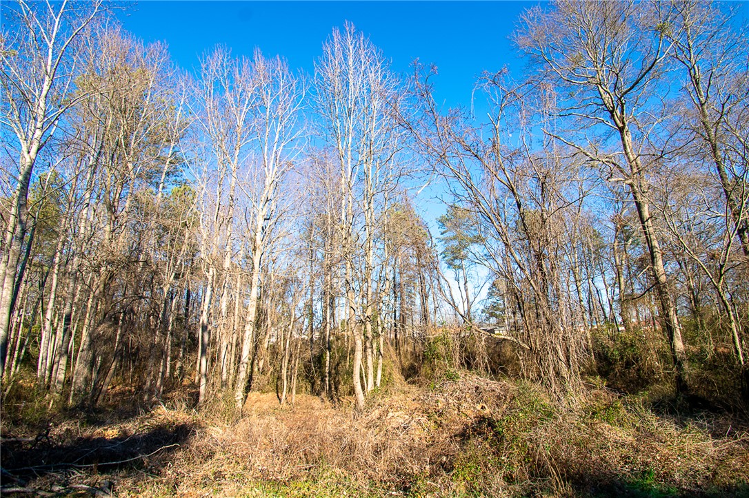 205 Hazelwood Avenue #LOT 10 BLOCK A, Anderson, South Carolina image 4