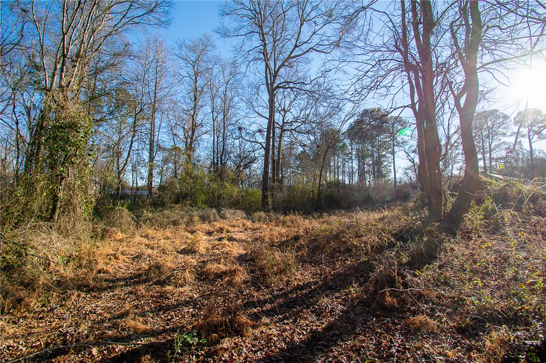 205 Hazelwood Avenue #LOT 10 BLOCK A, Anderson, South Carolina image 6