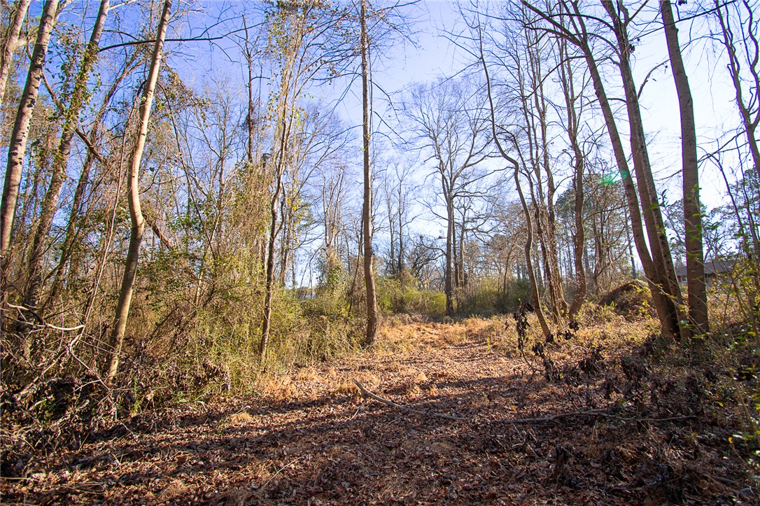 205 Hazelwood Avenue #LOT 10 BLOCK A, Anderson, South Carolina image 8
