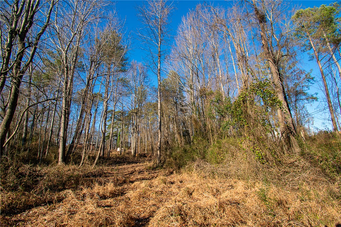 205 Hazelwood Avenue #LOT 10 BLOCK A, Anderson, South Carolina image 7