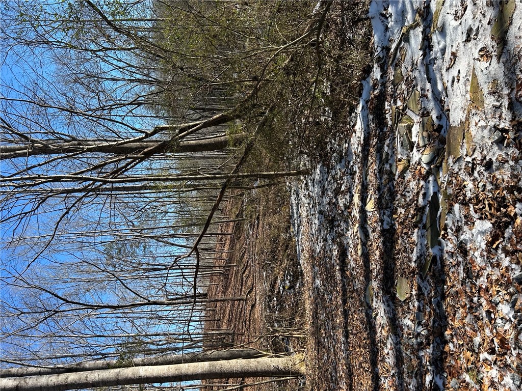 000 Hunters Trail, Walhalla, South Carolina image 3