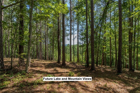 Vacant Land For Sale - LOT 36 River Birch Way<br/> Oconee County, Salem, SC 29676