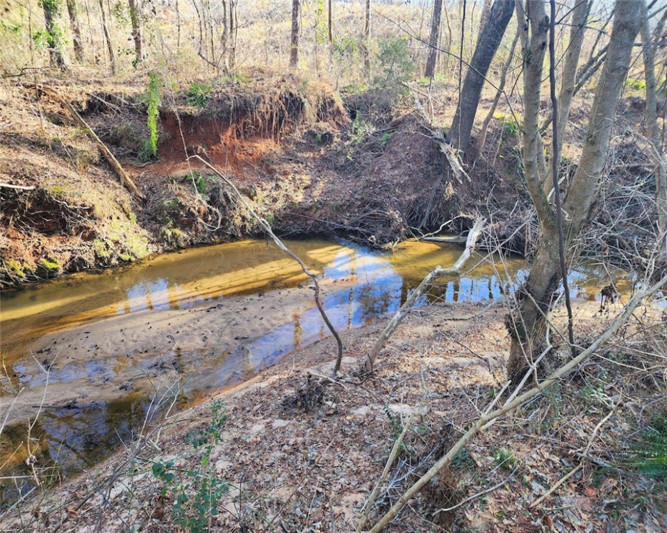 00 Elledge Road #00, Ware Shoals, South Carolina image 31