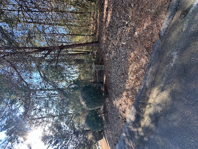 Lot 24 Marina Pointe Court, Seneca, South Carolina image 5