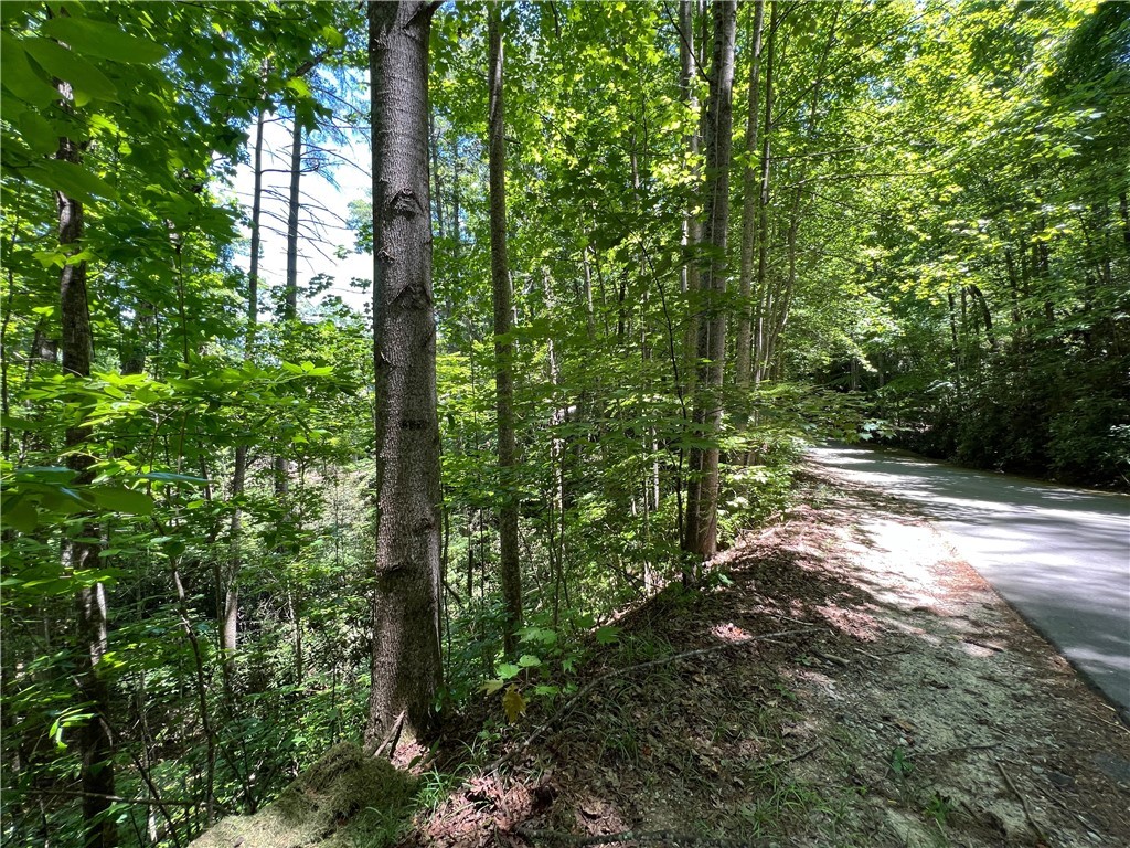 Lot 51 Bay Ridge Drive, Salem, South Carolina image 5