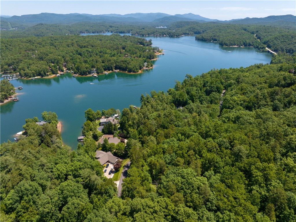 Lot 51 Bay Ridge Drive, Salem, South Carolina image 4